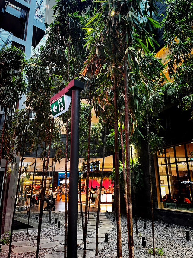 Jewel Changi Airport – Where Nature, Retail & Travel Converge