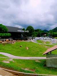 ลานสกาฟาร์มแกะ (Lansaka Sheep Farm)