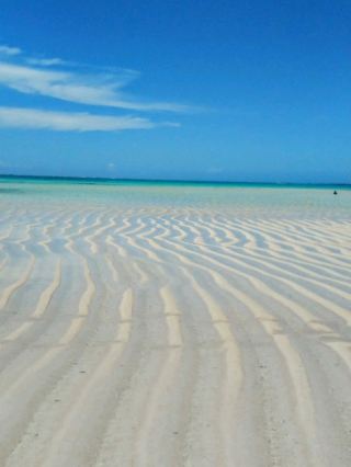 Let's visit Yoron Island during the spring tide!