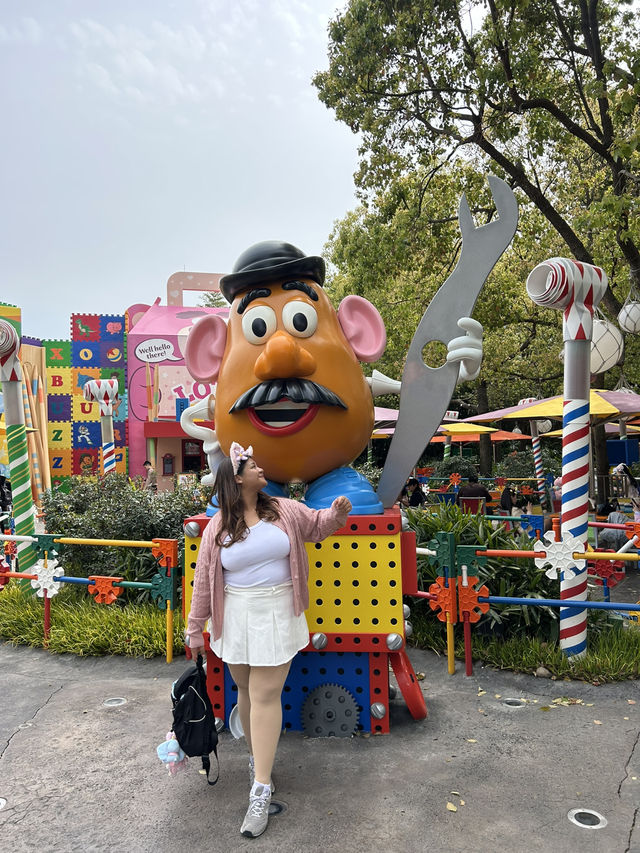 Shanghai disneyland