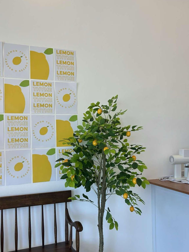 🍋 lemon Thyme ✨