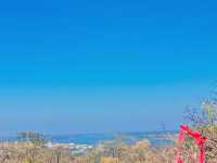 天空の大仏とメコン川の絶景に、心が静まるひとときを。