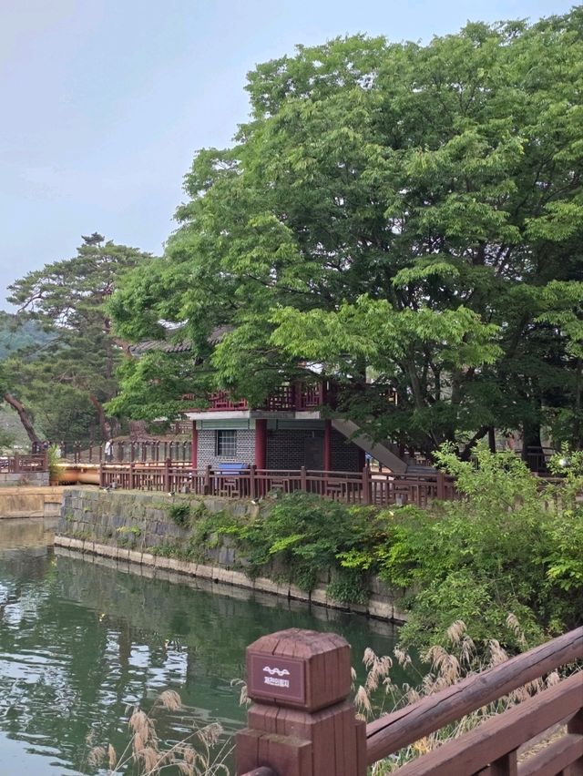 고요한 물결 따라 걷는 여유