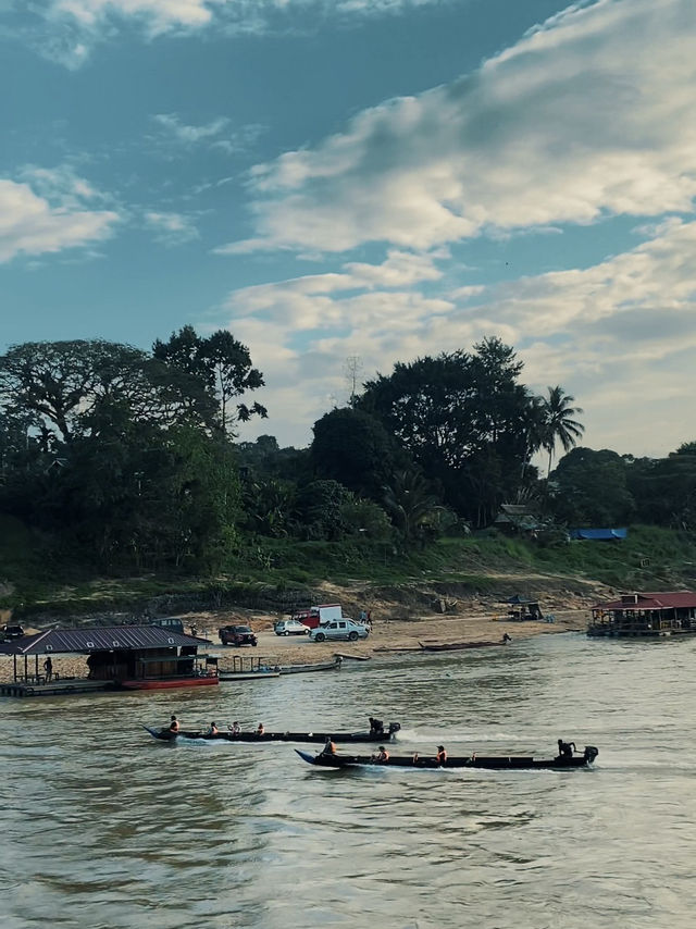River Breezes & Jungle Vibes: A Weekend in Taman Negara Pahang