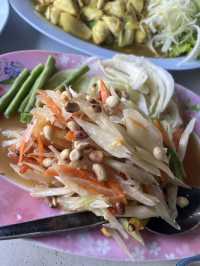 Exploring the Tapi River, Surat Thani