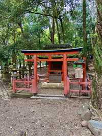 โอซาก้า🇯🇵