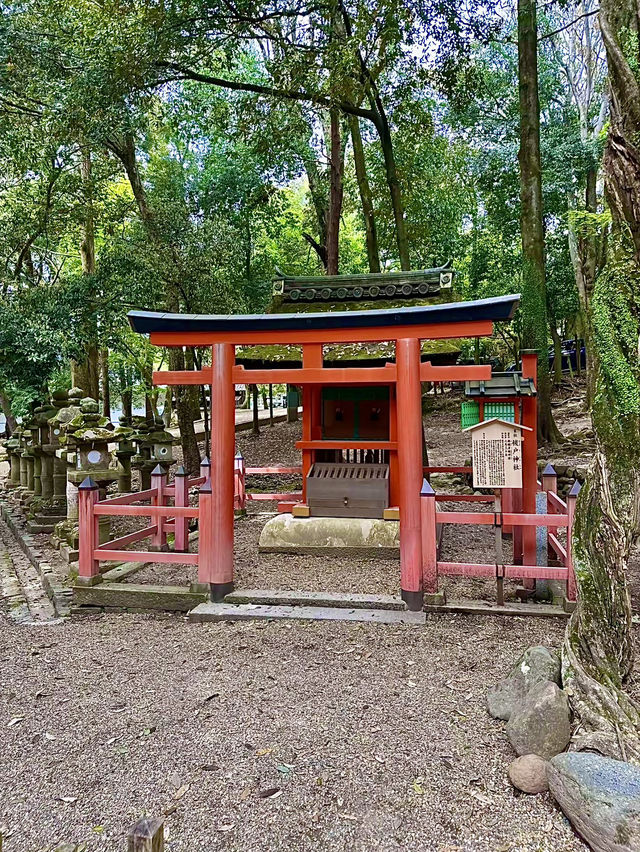 โอซาก้า🇯🇵