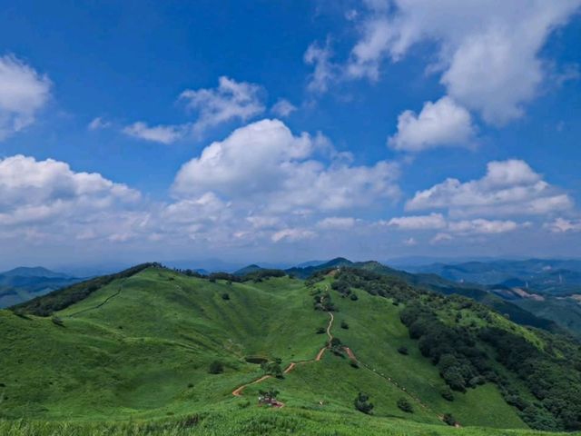 Rolling Hills & Feels