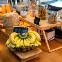 Blu Monkey Hub & Hotel Phuket 