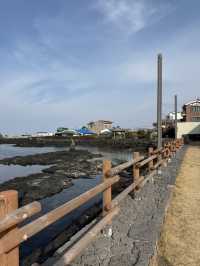 濟州冷門海岸與寧靜咖啡廳