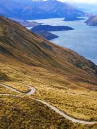 Down South to NZ