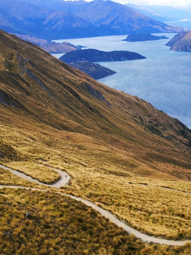 Down South to NZ