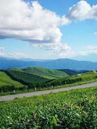 ⛰️美ヶ原高原｜信州が誇る天空の大草原