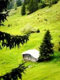 Summer Escape to Mürren – Alpine Magic in Mighty Weather