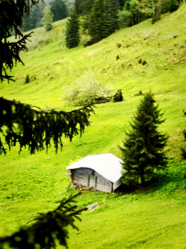 Summer Escape to Mürren – Alpine Magic in Mighty Weather