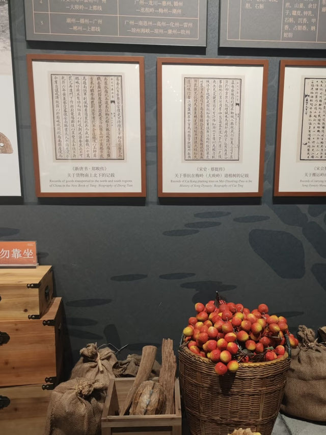 A Voyage Through Millennia – My Visit to Guangzhou Maritime Museum