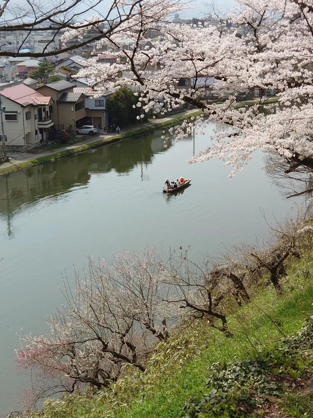 🏯【福島・会津若松】鶴ヶ城｜白壁が美しい“会津のシンボル”で歴史ロマンに浸る 