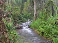 大自然の中で、心も体もリフレッシュ。🌿💧