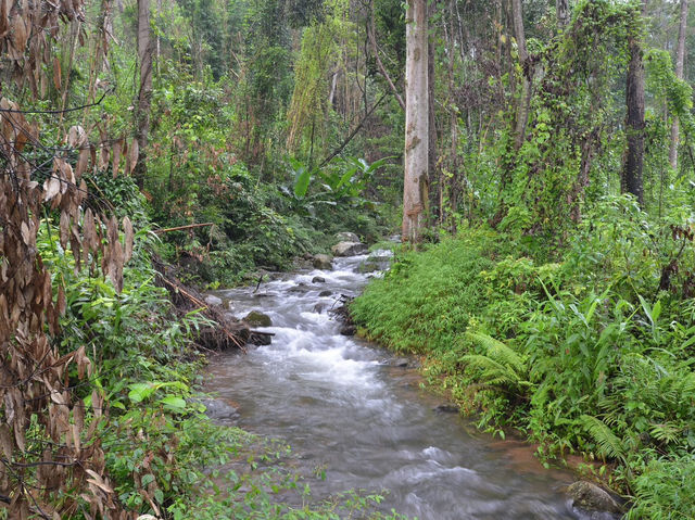 大自然の中で、心も体もリフレッシュ。🌿💧
