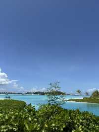 馬爾代夫的硬石酒店（Hard Rock Hotel Maldives）