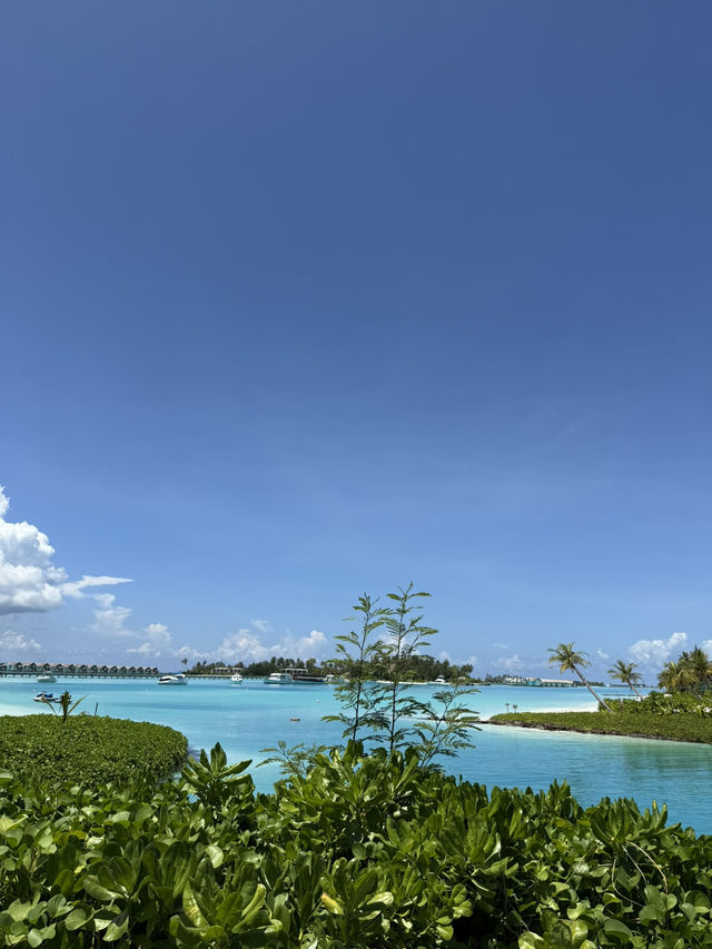 馬爾代夫的硬石酒店（Hard Rock Hotel Maldives）