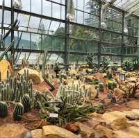 สวนพฤกษศาสตร์ เชียงใหม่🌵✨🍃