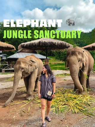 One Fun Day Hanging out with Elephants In Their Natural Habitat