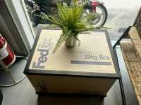 FedEx: The Unsung Hero of My Summer Vacation