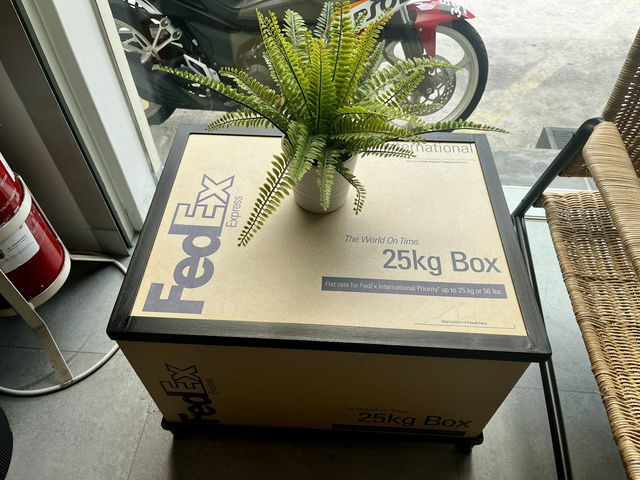 FedEx: The Unsung Hero of My Summer Vacation