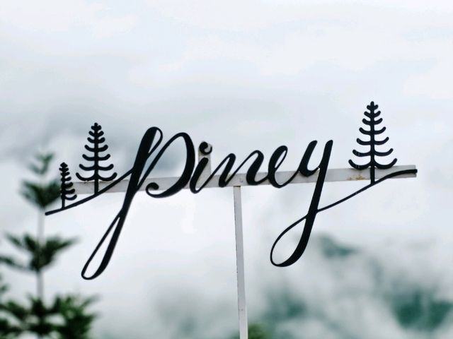 The Piney Bistro Cafe เขาค้อ 🍃☘️💚
