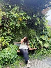 The Tropical Eco-Cafe