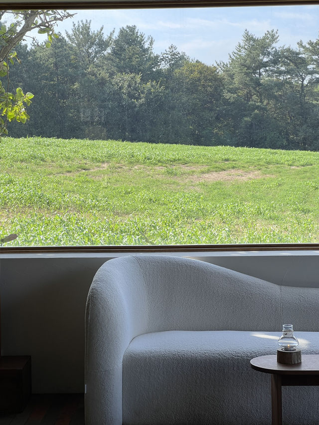 경주 숙소추천 유온스테이 🌾💚