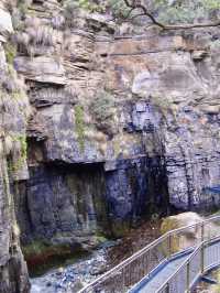 Carved by time and tide: the wild beauty of Remarkable Cave and Salmon Rock