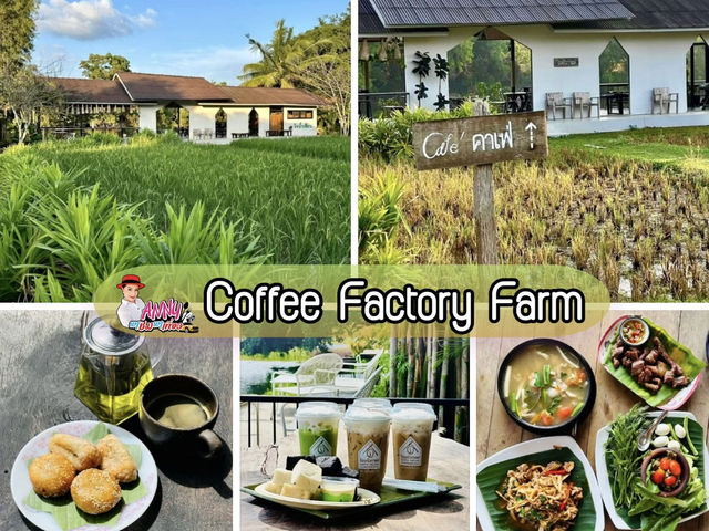 🌟โรงคั่วกาแฟวังน้ำเขียว คาเฟ่ริมน้ำกาแฟอาหารอร่อย