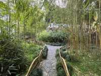 🌿 Canglang Pavilion 沧浪亭 — Suzhou’s Oldest Garden with Timeless Serenity 