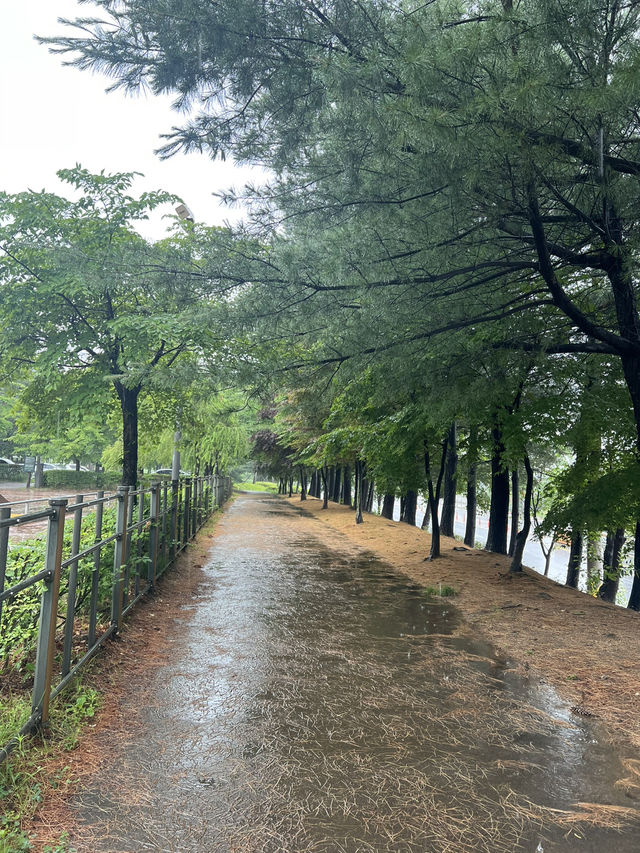 일자산 숲길여행