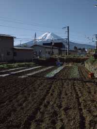 Chureito Pagoda x Mt. Fuji