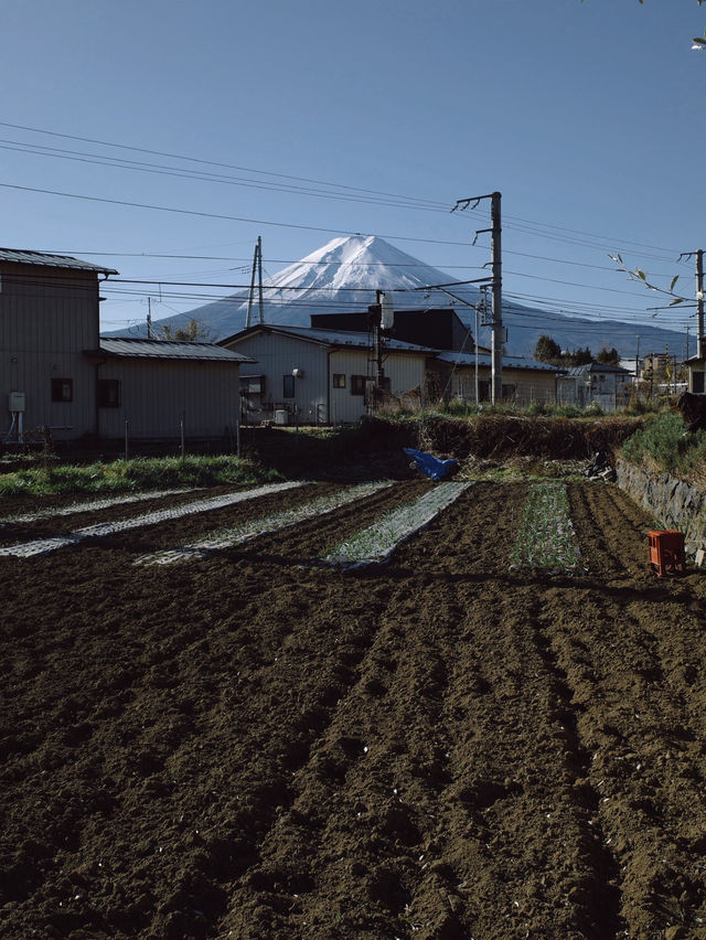 Chureito Pagoda x Mt. Fuji
