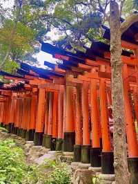 โอซาก้า🇯🇵