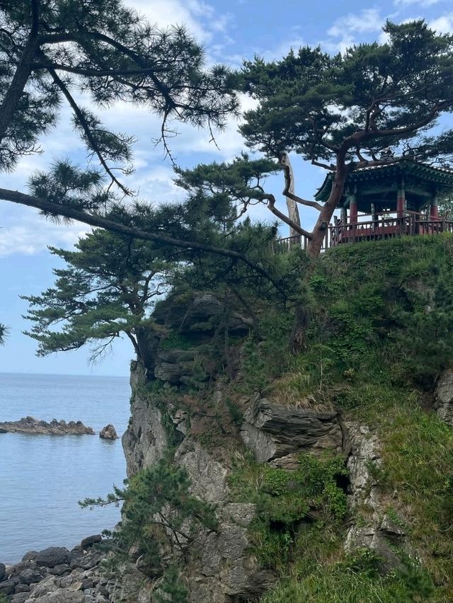 Surf, Chill, and Epic Views at Surfyybe Beach
