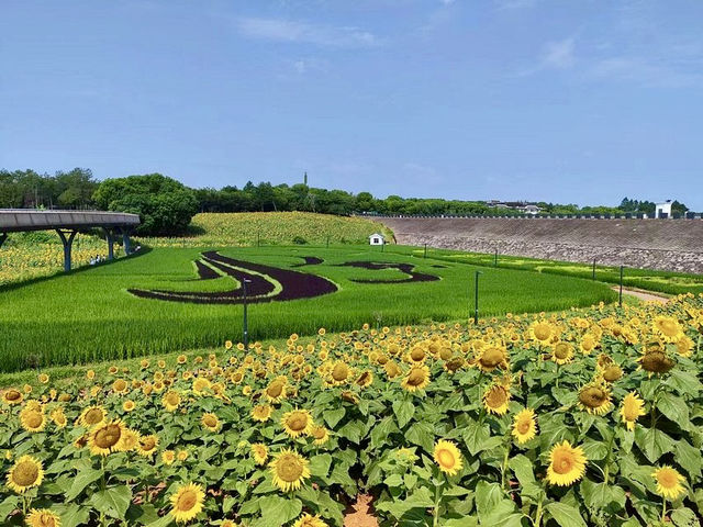 A Refreshing Visit to Yiwu Botanical Garden