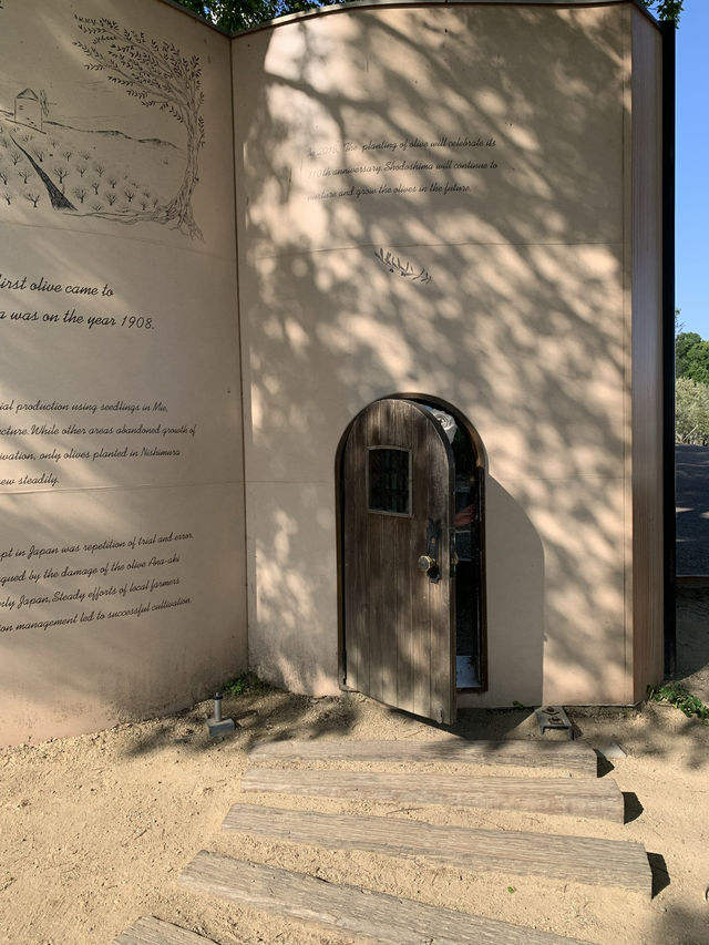【香川🇯🇵】小豆島　オリーブ園へ