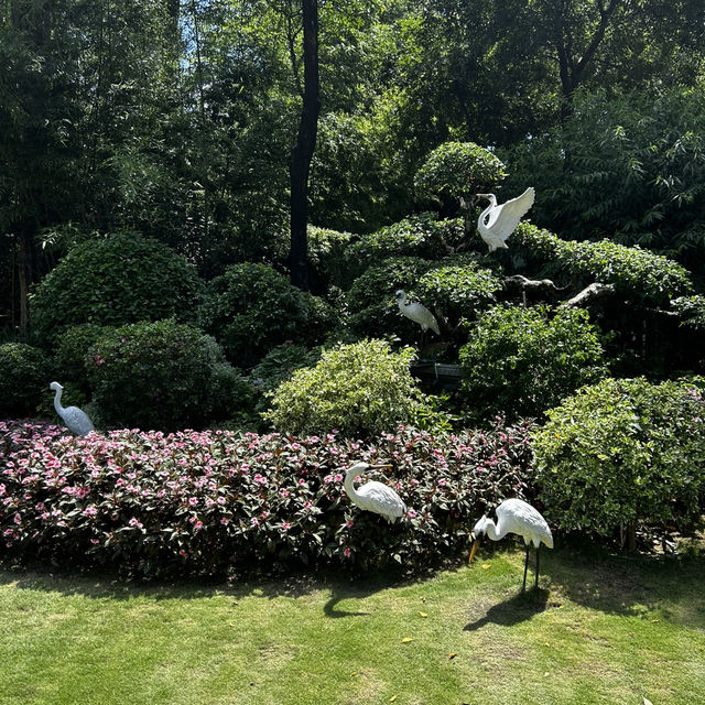 Bailuzhou East Park: Xiamen’s Chill Zone (With 100% Less Tourists)"** 🌿🦢  
