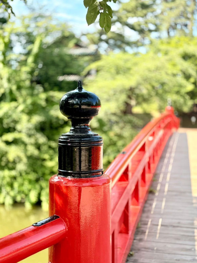 Hirosaki Castle: Where Samurai Meets Cherry Blossom Chaos (And You Get the Perfect Pic)"** 🏯🌸  