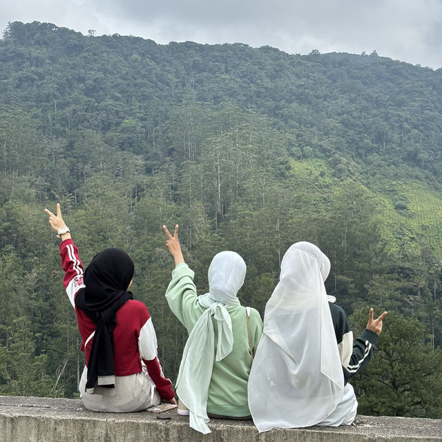 unique experience in a tea plantation & less crowd too!