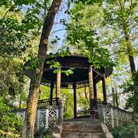 ～廣豐公園～水墨畫美景～