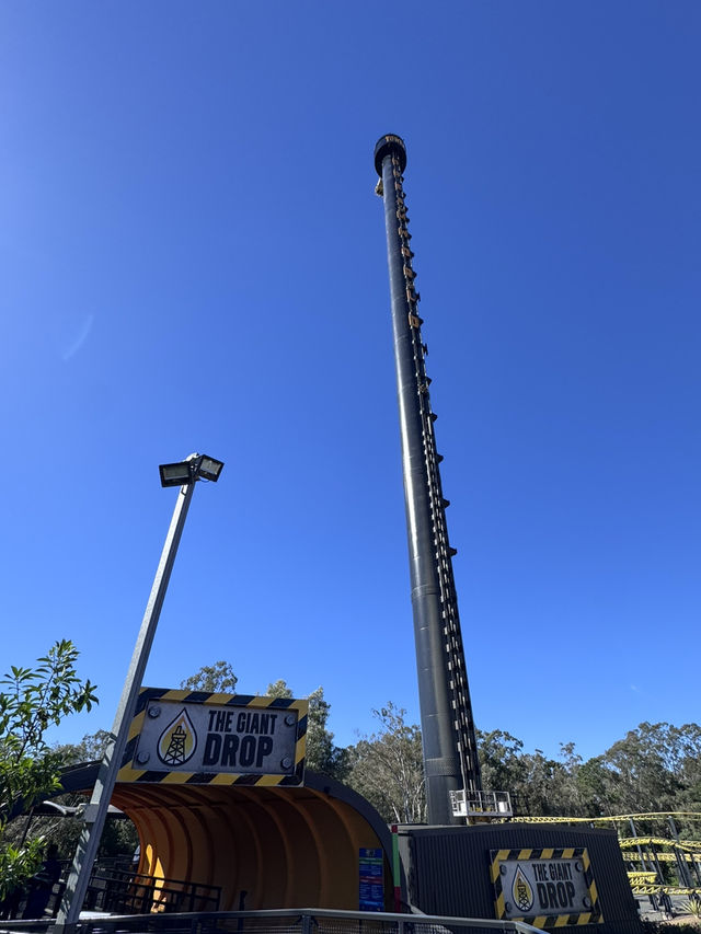 Animals and Theme Parks