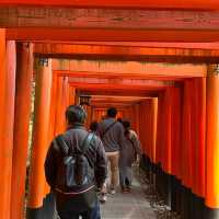 Fushimi Inari: A Breathtaking Cultural Treasure