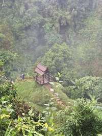 ทริปนี้ที่ลาวใต้ zipline Tad fane waterfall.