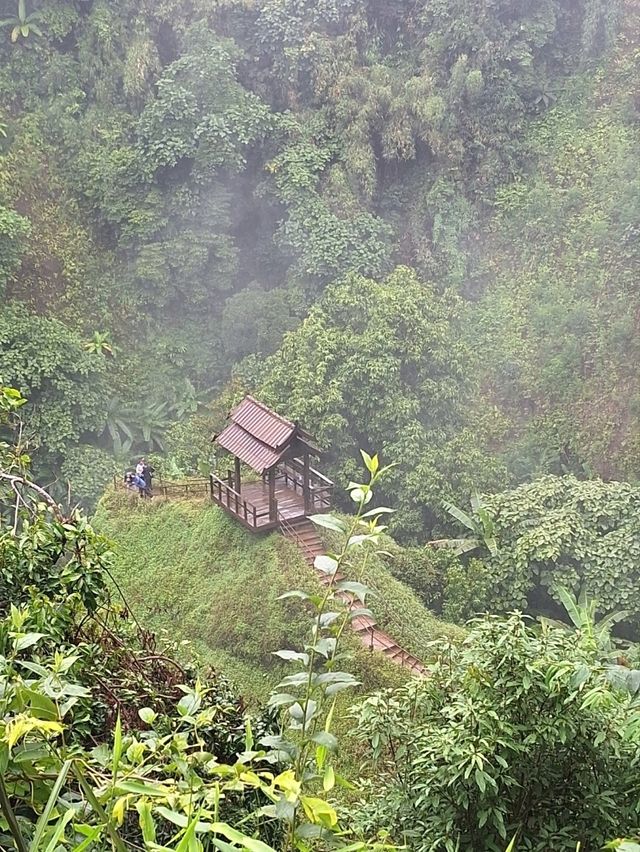 ทริปนี้ที่ลาวใต้ zipline Tad fane waterfall.